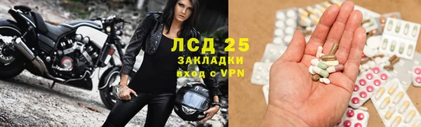 прущие крисы Белокуриха