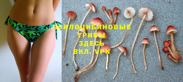каннабис Беломорск