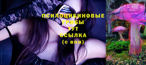 прущие крисы Белокуриха